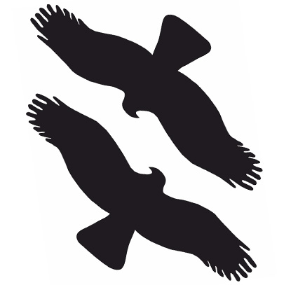 Vogel 1