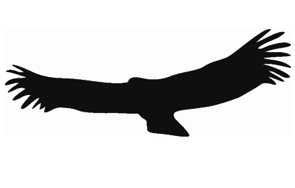 Vogel 4
