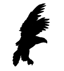 Vogel 5