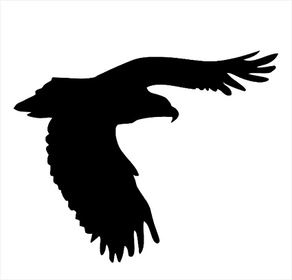 Vogel 9