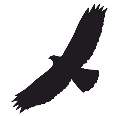Vogel 12
