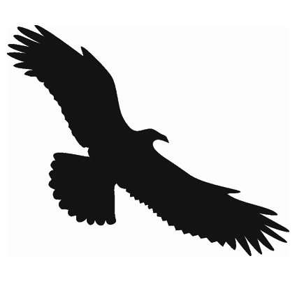 Vogel 16