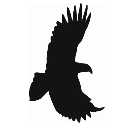 Vogel 17
