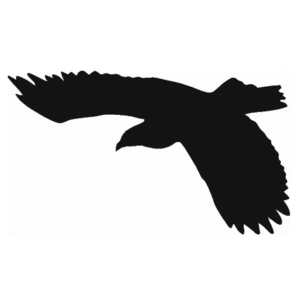 Vogel 18