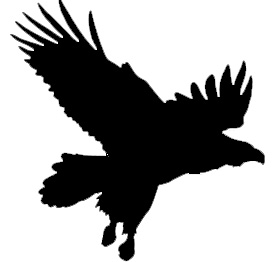 Vogel 19